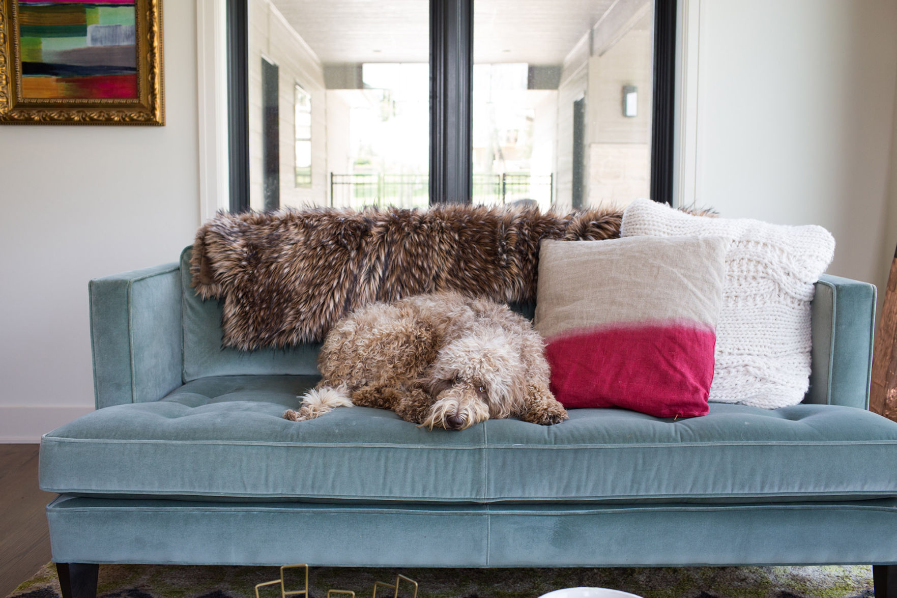 This home has high style but is still casual enough for the family pet.